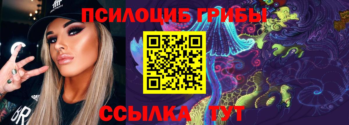 Альфа ПВП Долгопрудный